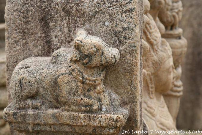 Piedra Cebú, Terraza del Diente, Polonnaruwa - Ceilan Sri Lanka