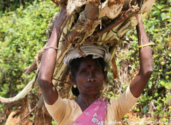 Puerto en la cabeza y los ojos de la mujer Kalugala - Ceilan Sri Lanka