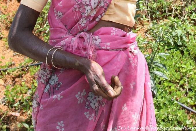 La mano del trabajador pobre, Kalugala - Ceilan Sri Lanka