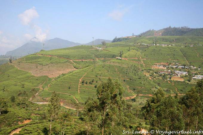 Arquitectura del Paisaje Sri Lanka, Central Province - Ceilan Sri Lanka