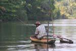 La pesca en el estuario del Bentota, Ceilan Sri Lanka.
