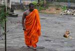 Monje en su túnica azafrán, Gadaladeniya templo, Kandy, Ceilan Sri Lanka.