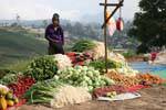 Puesto de verduras frescas en el lado de la carretera, Nuwara Eliya, Ceilan Sri Lanka.