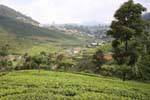 Panorama de las alturas que llegan a Nuwara Eliya, Ceilan Sri Lanka.