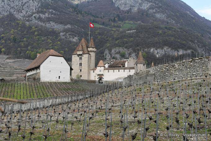 Vista del castillo de Aigle de los viñedos de los alrededores - Suiza