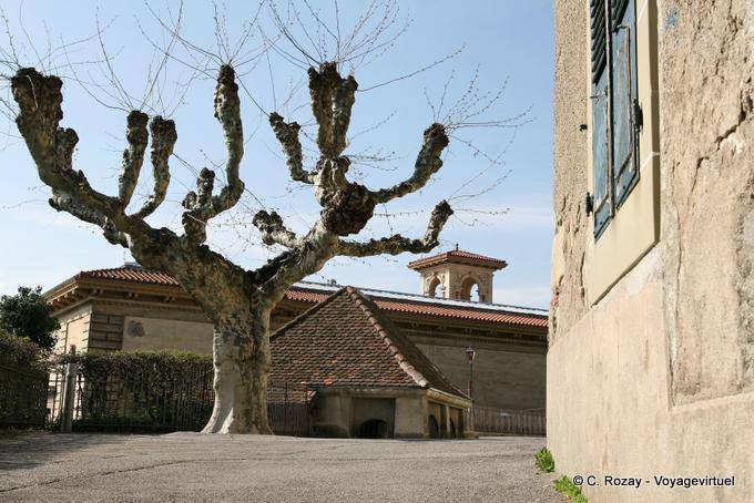 Árbol y edificios alrededor del castillo del Obispado, Lausana - Suiza