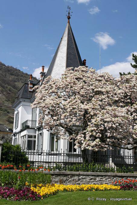 Flores de primavera en Martigny - Suiza