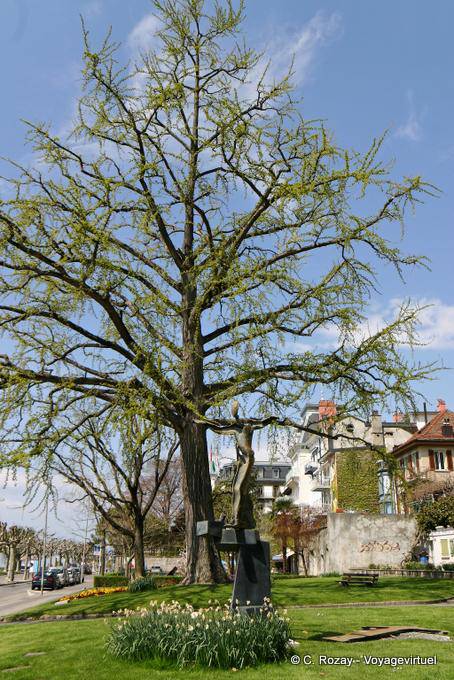 El árbol y la escultura, Perdonnet muelle, Vevey - Suiza