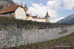 Las montañas, los viñedos y el castillo de Aigle, Suiza.