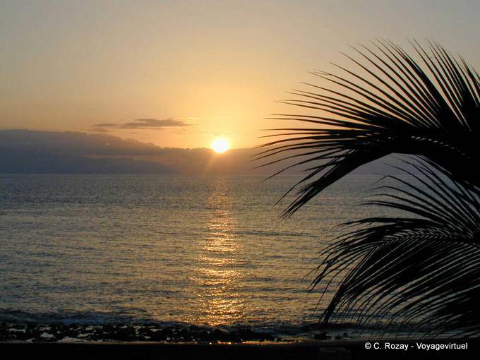 Sol Arena, puesta del sol, Tenerife