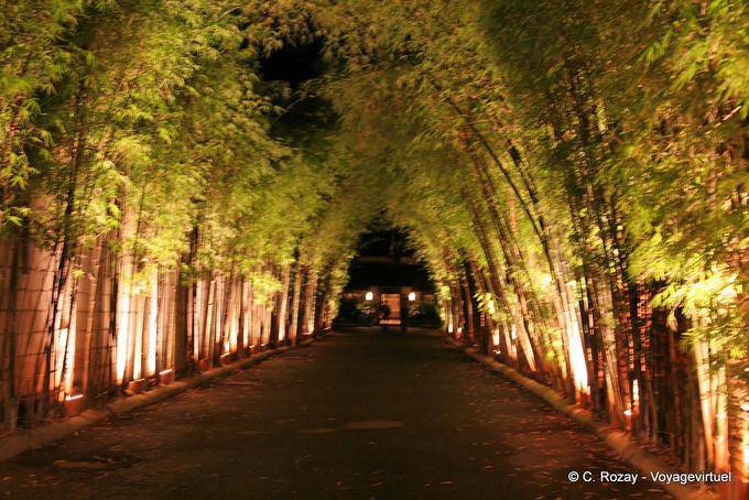 Bambú Camino de entrada, Chiang Mai - Tailandia