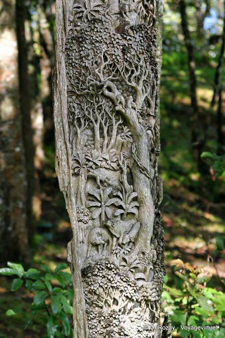 Árbol tallado Phuping Palace, Chiang Mai - Tailandia