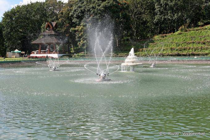 Rotación de chorros de agua, Phuping Palace, Chiang Mai - Tailandia