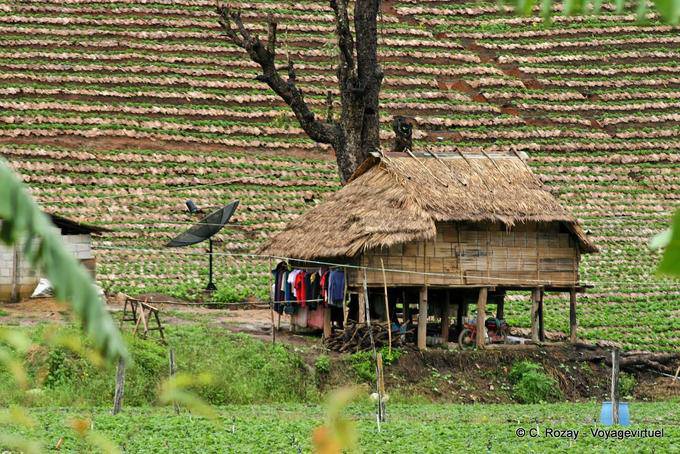 Casa de campo tradicional, Chiang Mai - Tailandia