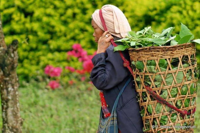 Mujer campesina llevando la cesta con la cabeza, de Chiang Mai - Tailandia