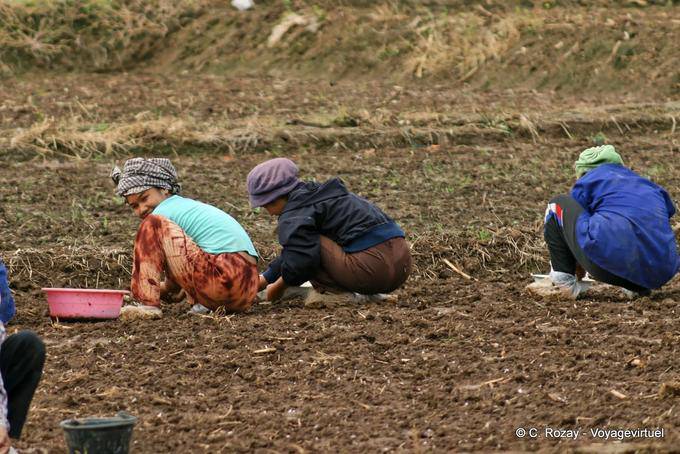 Mujer en cuclillas para trabajar, de Chiang Mai - Tailandia