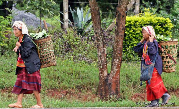 Campesino que lleva la cosecha, Chiang Mai - Tailandia