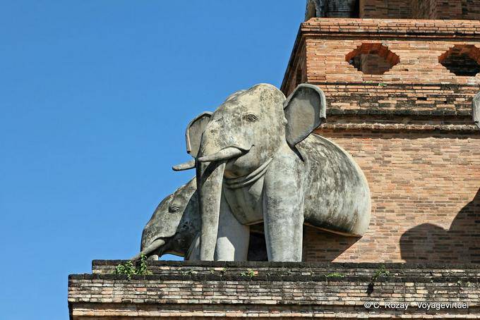 Saliente estatuas de elefantes chedi, Wat Chedi Luang, Chiang Mai - Tailandia