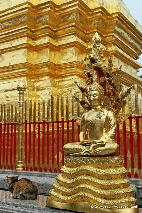 Buda Dhyana Mudra-Wat Doi Suthep, Chiang Mai - Tailandia