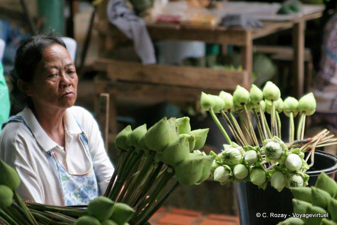 Lotus, preparación de ofertas, Wat Doi Suthep, Chiang Mai - Tailandia