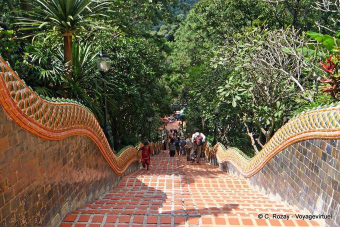 Alfombra roja, Wat Doi Suthep, Chiang Mai - Tailandia