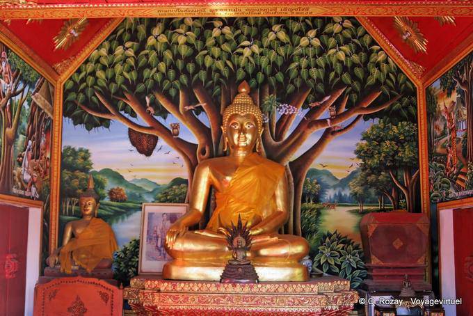 Buda antes de la udumbara, árbol mítico, Wat Phra Singh, de Chiang Mai - Tailandia