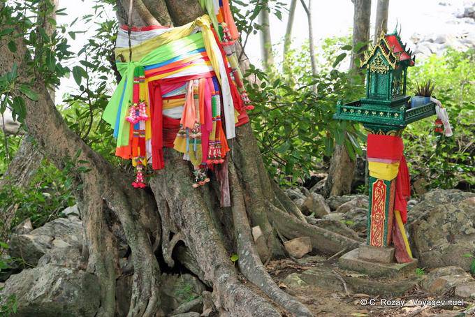 La devoción en el bosque, Koh Phi Phi - Tailandia