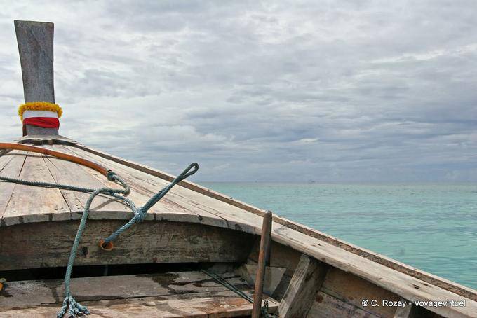 Hélice de cola larga, Koh Phi Phi - Tailandia