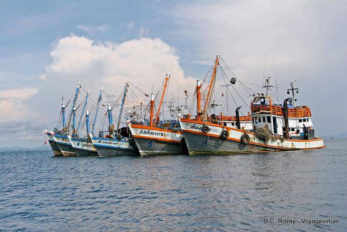 Una armada de los arrastreros, Koh Phi Phi - Tailandia
