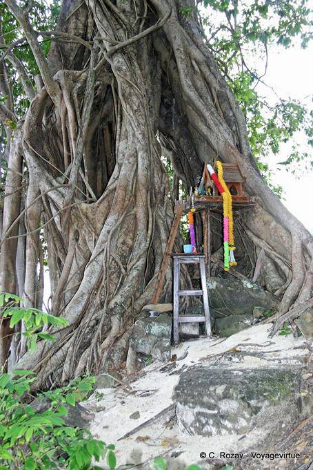 Altar en las raíces, Koh Phi Phi - Tailandia