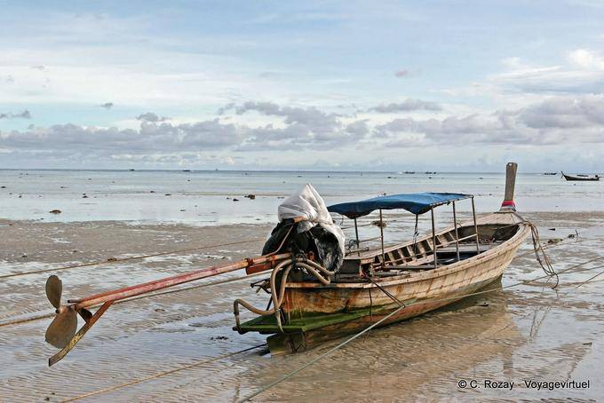 La cola larga en la marea baja, Koh Phi Phi - Tailandia