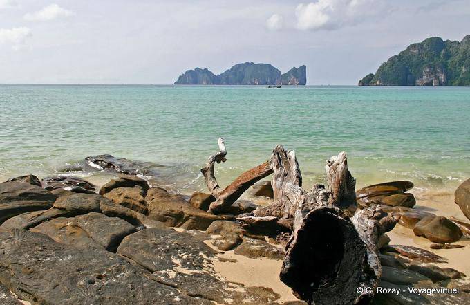 Driftwood en el mar, Koh Phi Phi - Tailandia
