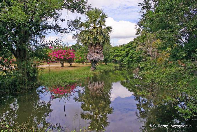 Naturaleza en el Parque Histórico, Sukhothai, Wat Phra Pai Luang - Tailandia