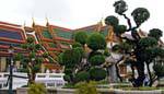 Topiary, Wat Pho (Wat Phra Chettuphon), Bangkok, Tailandia.