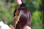 La oración ferviente con loto, Templo Chiang Mai, Tailandia.