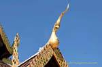 Wat Pan Tao Chofah del Templo Chiang Mai, Tailandia.