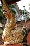El naga cocodrilo comer, noroeste de Chiang Mai, Tailandia.