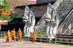 Los monjes y nagas, Wat Chedi Luang, Chiang Mai, Tailandia.