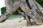 Bajo las raíces, Koh Phi Phi, Tailandia.