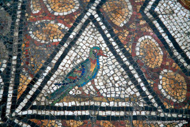 Museo del Bardo, pájaro colorido, fragmento de mosaico - Túnez
