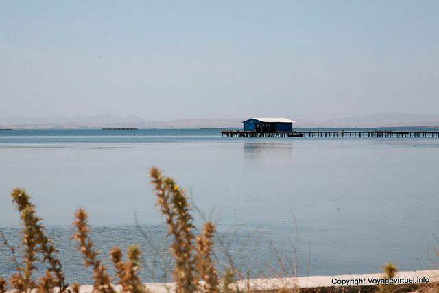 Parque Bizerta Ichkeul - Túnez