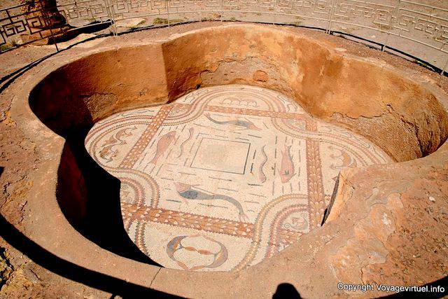 Sbeïtla, baño con delfines, mosaico - Túnez