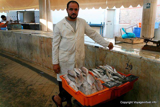 Sfax, pescadería barbudo - Túnez