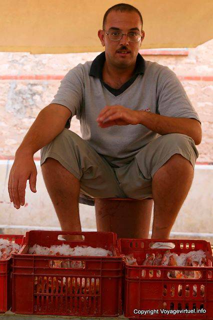 Sfax, vendedor de pescado - Túnez