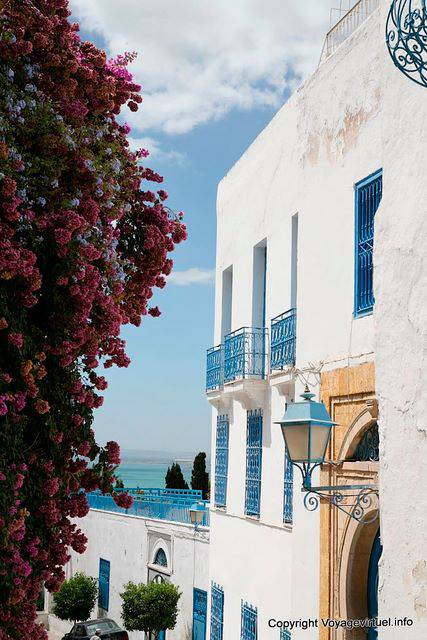 Sidi Bou Said, de caída al mar - Túnez