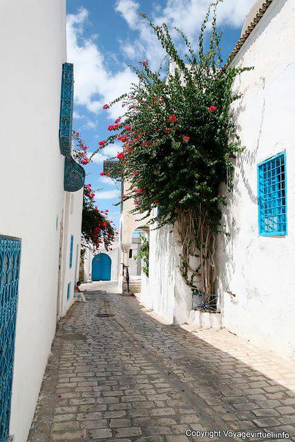 Sidi Bou Said, pequeña pavimento de la calle - Túnez
