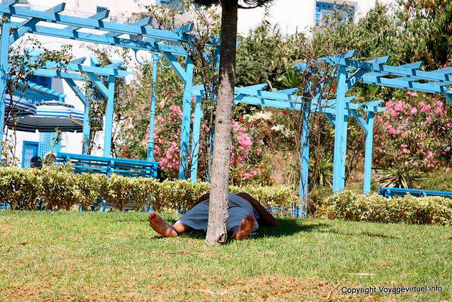 Sidi Bou Said, la siesta en el césped - Túnez