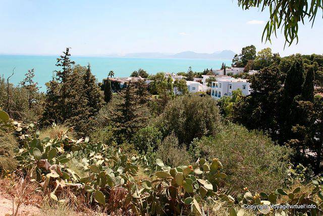 Sidi Bou Said, Villas ocultos en el follaje - Túnez