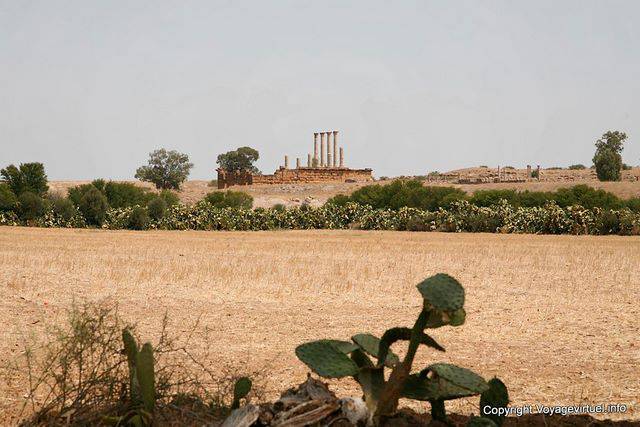Thuburbo Majus, país panorama - Túnez