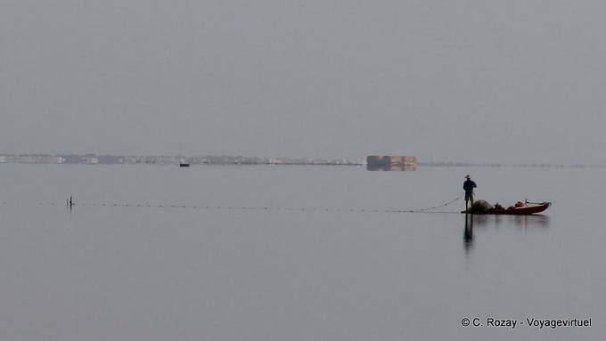 Luz Confusión, Yerba - Túnez